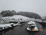 冬の朝川寺霊苑